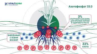 Азотофосфат от Группы "Уралхим"