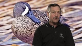 Fly By: Blue-winged Teal