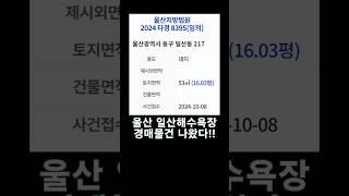 탑플러스경매학원 박동일원장 #일산해수욕장경매 #토지전문칼럼니스트  #박동일원장 #탑플러스경매학원 #동구해상케이블카 #동구대왕암경매