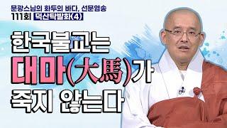 한국불교는 대마(大馬)가 죽지 않는다 | 문광스님의 화두의 바다 선문염송 111회 덕산탁발화(4) #문광스님 #화두 #참선