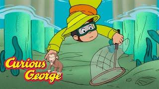 George and Bill's Fishing Contest  Curious George  Kids Cartoon  Kids Movies