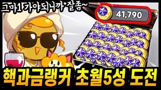 달빛술사 초월 5성 도전하시는 핵과금랭커 대리뽑기;; 진짜 클라스 미쳤다ㅋㅋㅋㅋ - [ 쿠키런 킹덤 ]