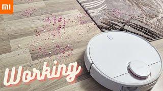 Xiaomi Robot Vacuum S10 - working and result - Part 2