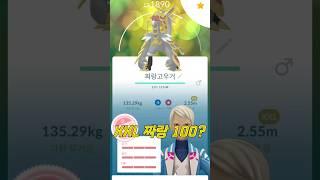 리서치에서 'XXL 100%' 짜랑꼬가 떴습니다?? 이건 무조건 키워야지!!! 강화&해방 조져봅시다!! [#포켓몬고] #Shorts