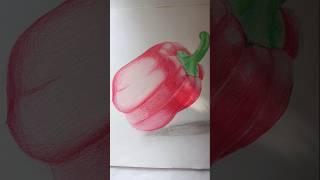 Red capsicum hyper realistic pencil colour 3D art #Shubh creative arts #shubh