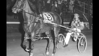 Harness Racing,Harold Park-11/04/1969 (Teeny Reena-B.P.Hancock)