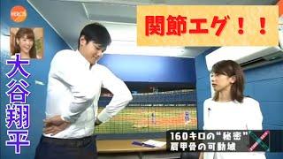 【大谷翔平】全盛期カトパンと個室対談　ヒジ関節エグい