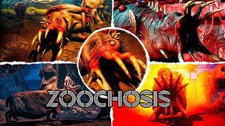 Zoochosis - Hippopotamus Walkthrough & All Jumpscares