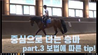 승마의 기초 part. 3 평보-속보-구보 보법에 따른 tip