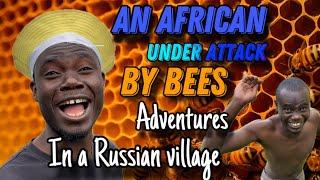 Bees attacking my African friend in a Russian village