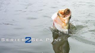 JB3 Rods | Series Two | Sea Pony