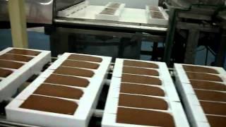 DSCF0685.AVI