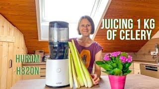 Juicing 1kg of Celery in the Hurom H320 #celeryjuice #celeryjuicechallenge #greenjuice