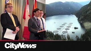 B.C. salmon farms given 2029 deadline to transition to land