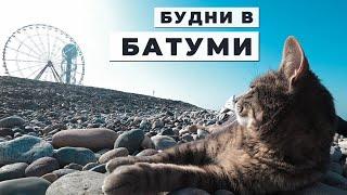 Стал ВЕГАНОМ | КОТЫ НА ПЛЯЖЕ | Будни в Батуми