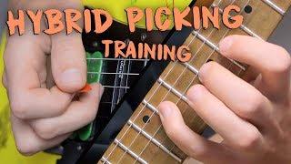 HYBRID PICKING Exercises and HOW TO