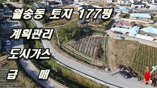 매물번호1-458 여주시내 월송동, 도시가스들어오는 마을 여주역,시청예정지 인근 주변시세대비 저렴한 계획관리 토지