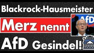 AfD Gesindel soll verschwinden! Friedrich Merz unwählbar, ignoriert jeden 5. Wähler