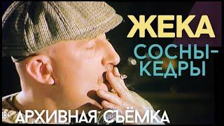 ЖЕКА-Евгений Григорьев- Сосны-Кедры ( архивное видео )