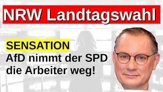 Aktuelle Wahlumfragen NRW AfD stärkste Gewinne Sonntagfrage Prognose Hochrechnung Arbeiter zur AfD