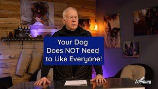 Your Dog Does NOT Need to Like Everyone!