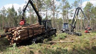 Malwa 560F Forwarder and Malwa 560H Harvester, Compact Class Forest Machines Thinning Pine on a Moor