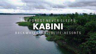 24 Hours in Kabini - Red Earth Kabini | Kabini Backwaters | Kabini Wildlife