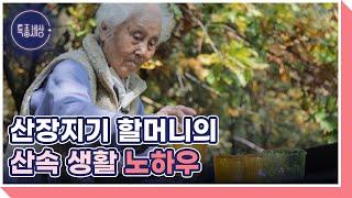 산장지기 할머니의 산속 생활 노하우 대공개 MBN 221103 방송