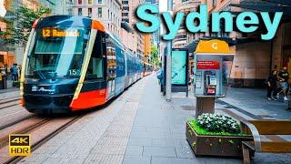 Sydney Australia Working Tour - George Street After Work | 4K HDR