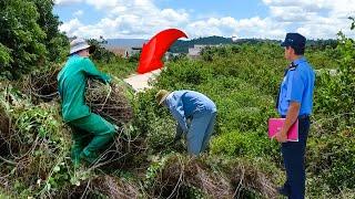 Secret Under Giant Grass Overgrown, Surprises Neighbors - Cleaning & Mowing | Clean Up Free