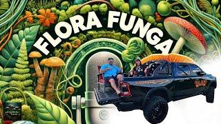 Fungi, Innovation & Going Fullsend | Flora Funga Podcast!