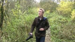 Wild Diaries with Ben Waddams - My Favourite British Bird