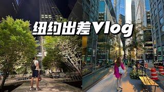 尔湾房产经纪人Vlog【Realtor Vlog】纽约出差看仓库|纽约美食推荐