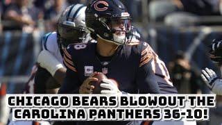 Chicago Bears BLOWOUT The Carolina Panthers 36-10! REACTION & ANALYSIS!