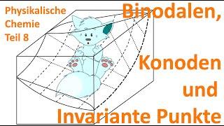 Wie lesen wir Phasendiagramme von 2-K-Systemen? "Binodalen, Konoden & invariante Punkte"