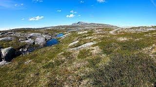 Hiking Guide: First steps towards Indre Lurfjellvatnet