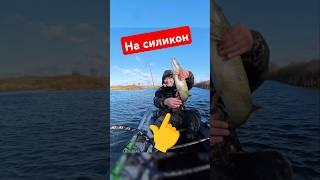 Силиконовая приманка на щуку #fishing #рыбалка #рыбалкавидео