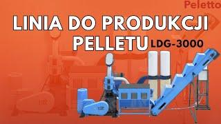 Granulowanie trociny linią do produkcji pelletu i pasz LDG-3000