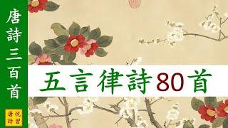 唐詩三百首 全部五言律詩80首