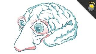 Did the ability to smell spark the ability to think? - Epic Science #110