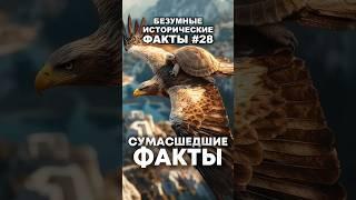Сумасшедшие исторические факты   #история #факты