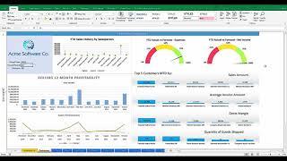 Compelling Business Dashboards in Excel | BizNet Software