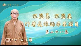 千佛山教授師 智翔法師主講—不思善、不思惡，什麼是你的本來面目(二十八)