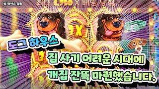 [슬롯] 프라그마틱 더 도그 하우스 슬롯 개집 분양 제대로 받았습니다. Pragmatic Play The Dog house Slot #슬롯잭팟 #슬롯구매 #슬롯머신 #슬롯