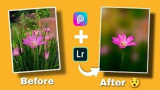 Mobile Photography | background blur | PicsArt Photo Editing | Lightroom Photo Editing