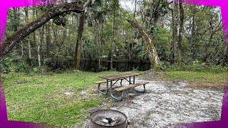 Two Free Camping Areas Near Tampa Florida