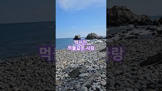 먹물같은 사랑 #박서진 #바다  #바위 #자연 #닻별  #미스터트롯2