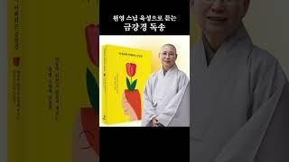 불교 초보자도 이해하는 금강경 강의
