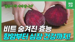 비트 효능! 영양소 쏙 빼먹고, 부작용 없이 안심하고 먹는 방법!