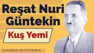 Reşat Nuri Güntekin | Kuş Yemi (Sesli Hikaye)